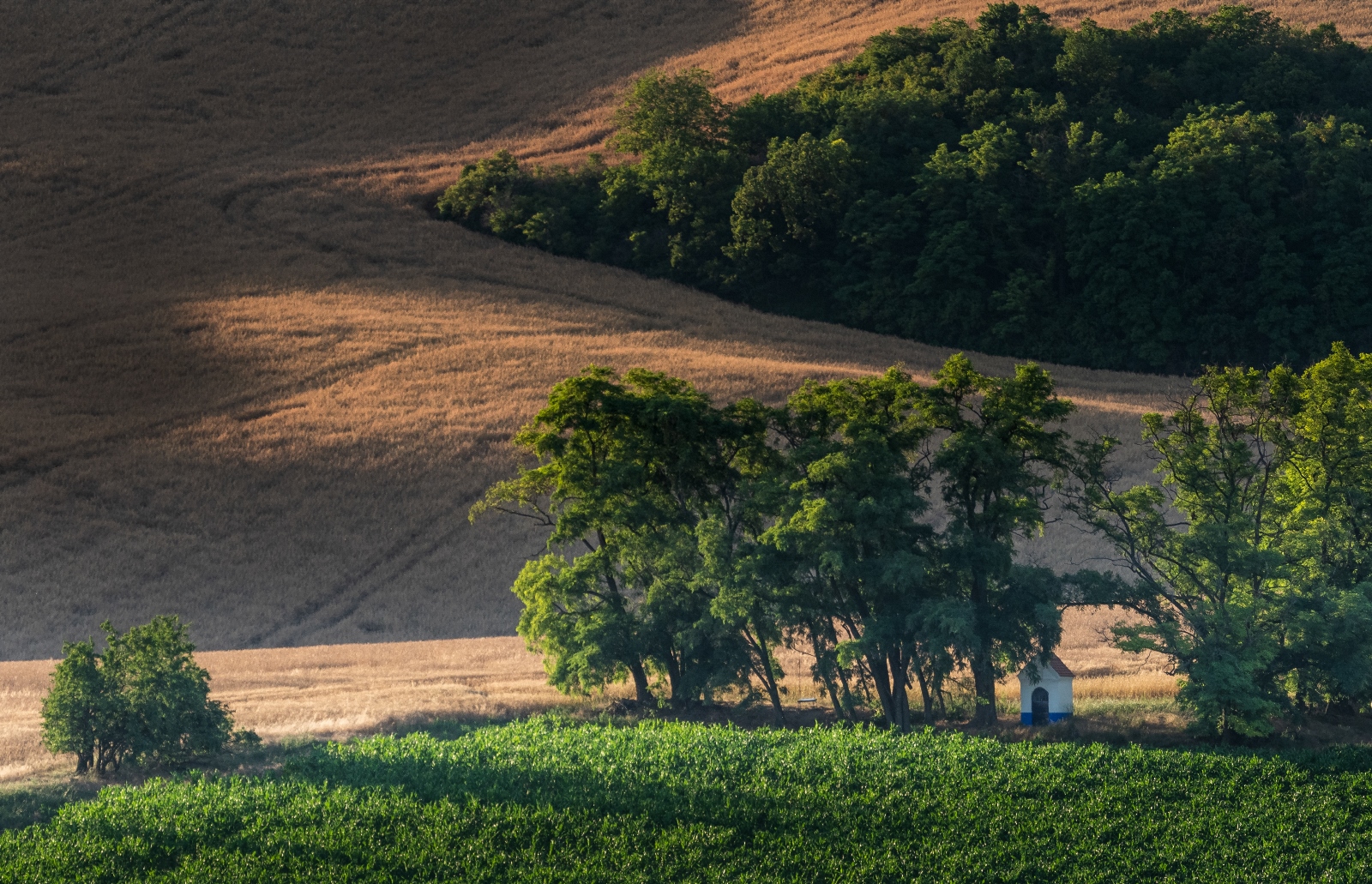 Moravian "Tuscany", Czech Republic