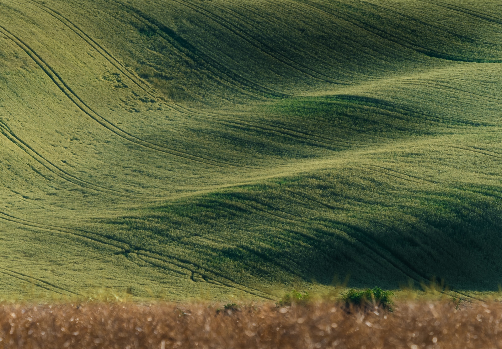 Moravian "Tuscany", Czech Republic